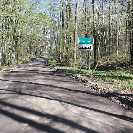 Wawl Parque de vacaciones Charnowo (Pomerania)